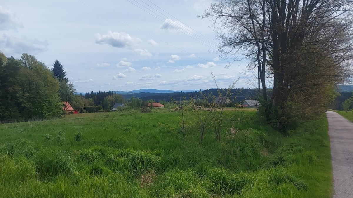 Działka budowlana na sprzedaż Ciężkowice, Ciężkowice, Kąśna Górna  1 000m2 Foto 8