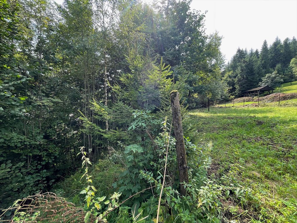 Działka budowlana na sprzedaż Wisła  2 750m2 Foto 16