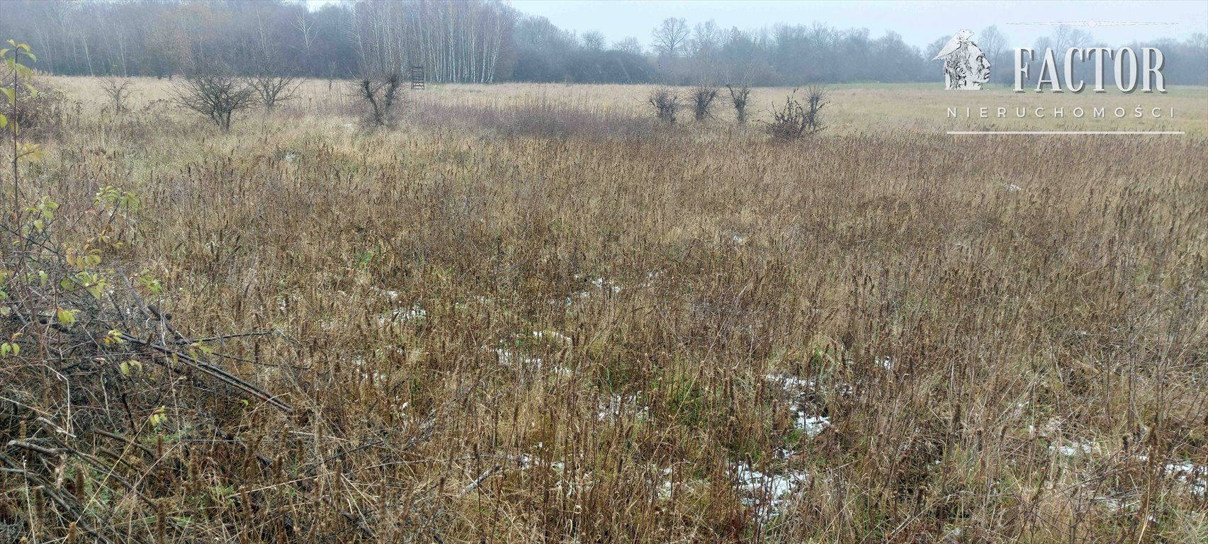 Działka rolna na sprzedaż Lipinki  5 000m2 Foto 1