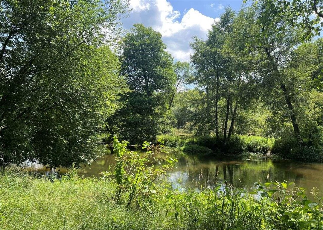 Działka rekreacyjna na sprzedaż Dworszowice Kościelne  780m2 Foto 7