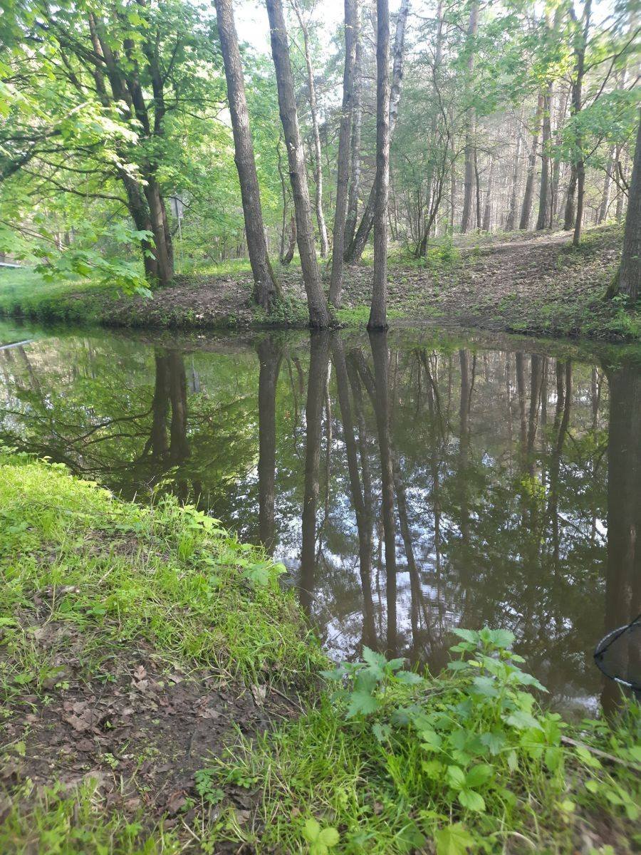 Zapraszam do zakupu działki 3000 m² z WZ na dom i lasy Grzybowo  3 000m2 Foto 1