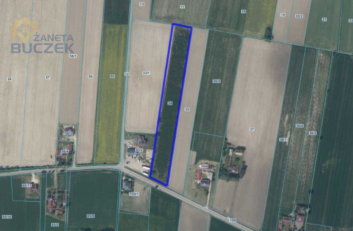 Działka rolna 11 000 m² z dostępem do drogi publicznej Mikołajew, Stary Mikołajew  11 000m2 Foto 1