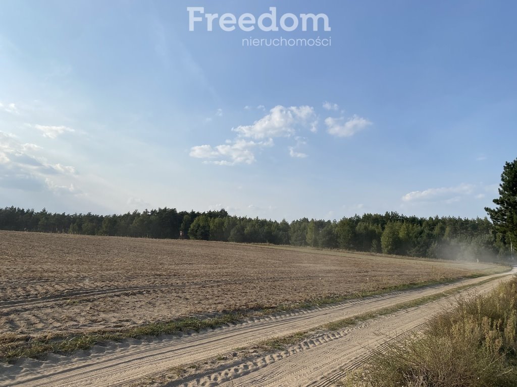 Działka rolna na sprzedaż Ciechocin  9 200m2 Foto 2