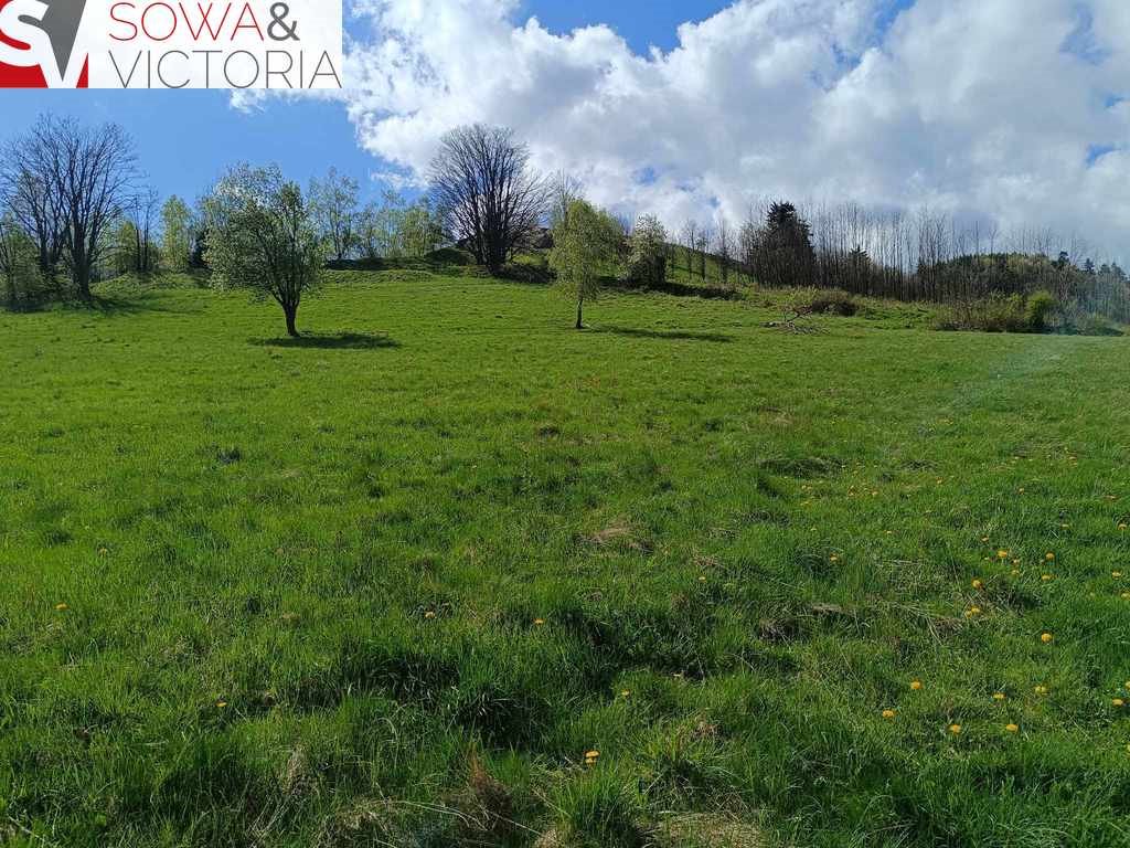 Działka rekreacyjna na sprzedaż Boguszów-Gorce, Stary Lesieniec  7 168m2 Foto 6