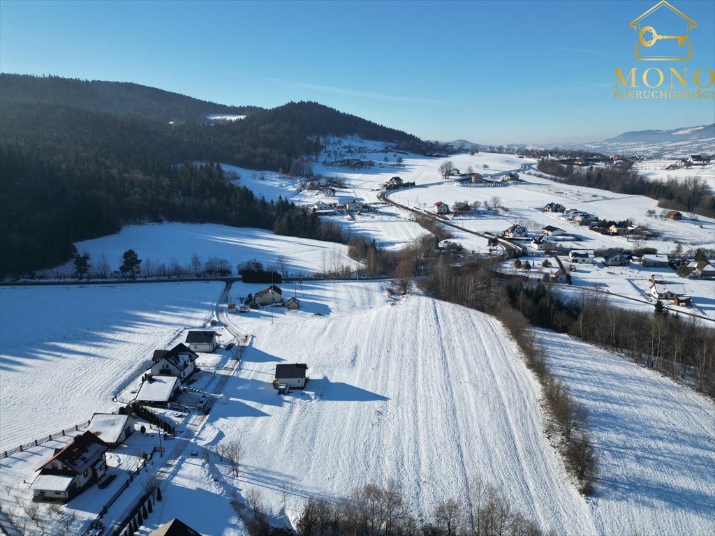 Działka budowlana na sprzedaż Krasne Potockie  4 200m2 Foto 10