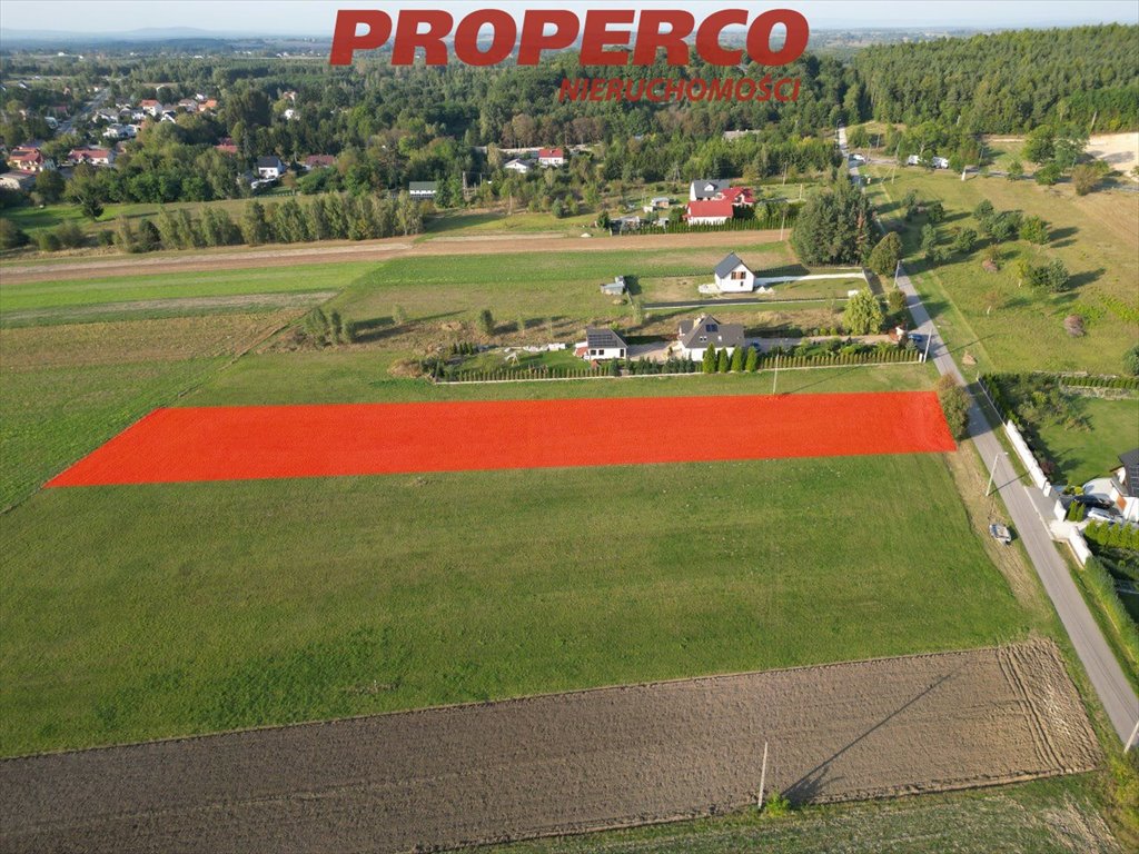 Działka inna na sprzedaż Chmielnik, Piotrkowice  4 000m2 Foto 3