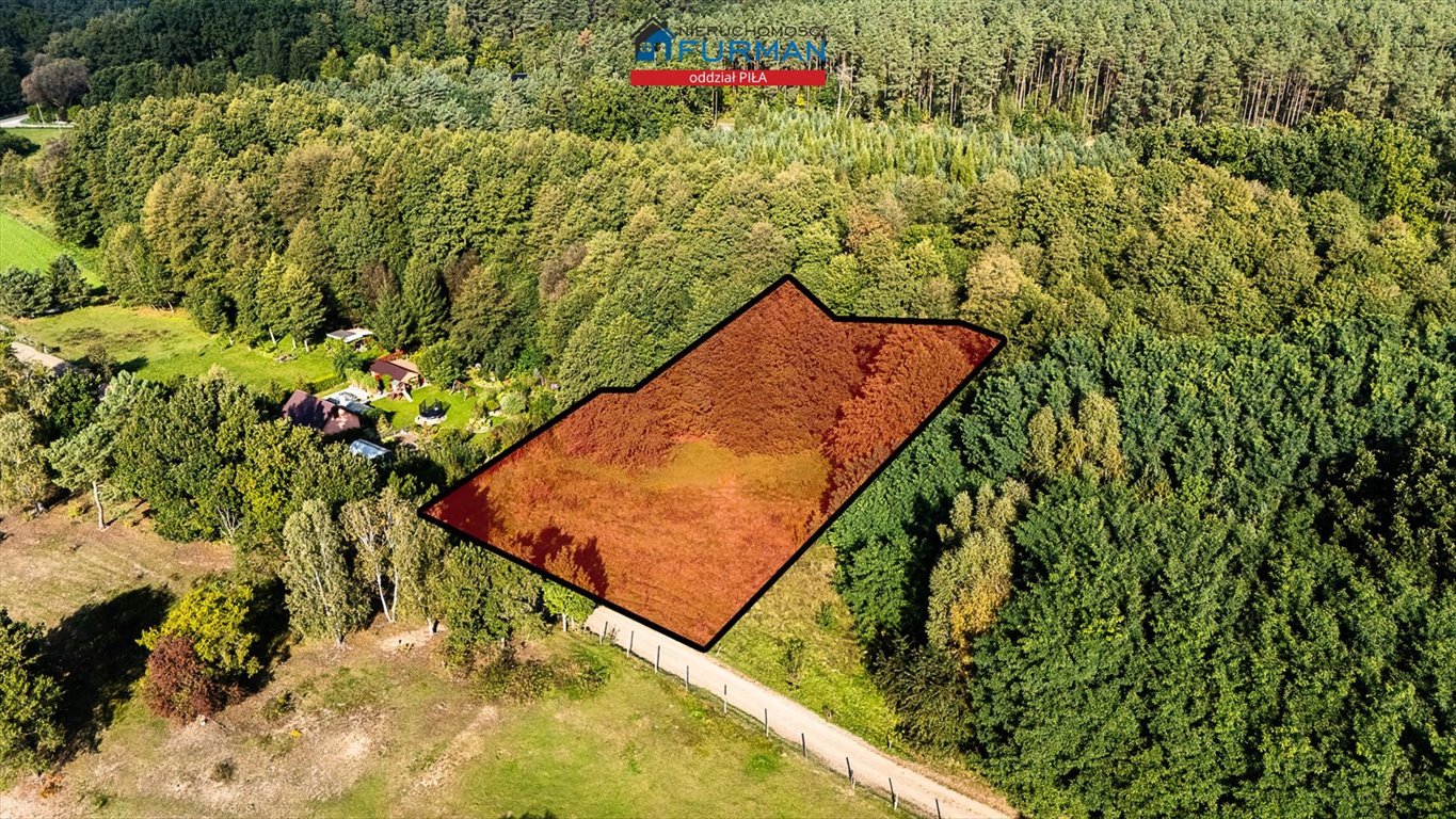 Działka 3041 m² z warunkami zabudowy, las, Piła 4 km Cyk  3 041m2 Foto 1