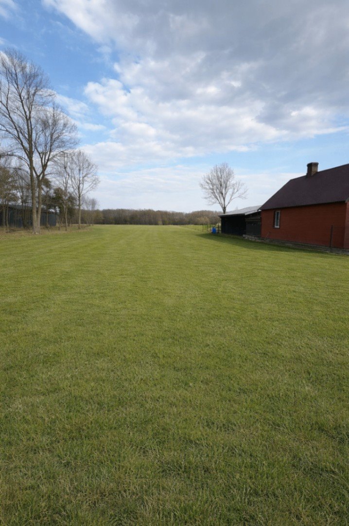 Działka 2621 m² w Bombli - las, cisza, media w pobliżu Bombla, 18  2 621m2 Foto 1