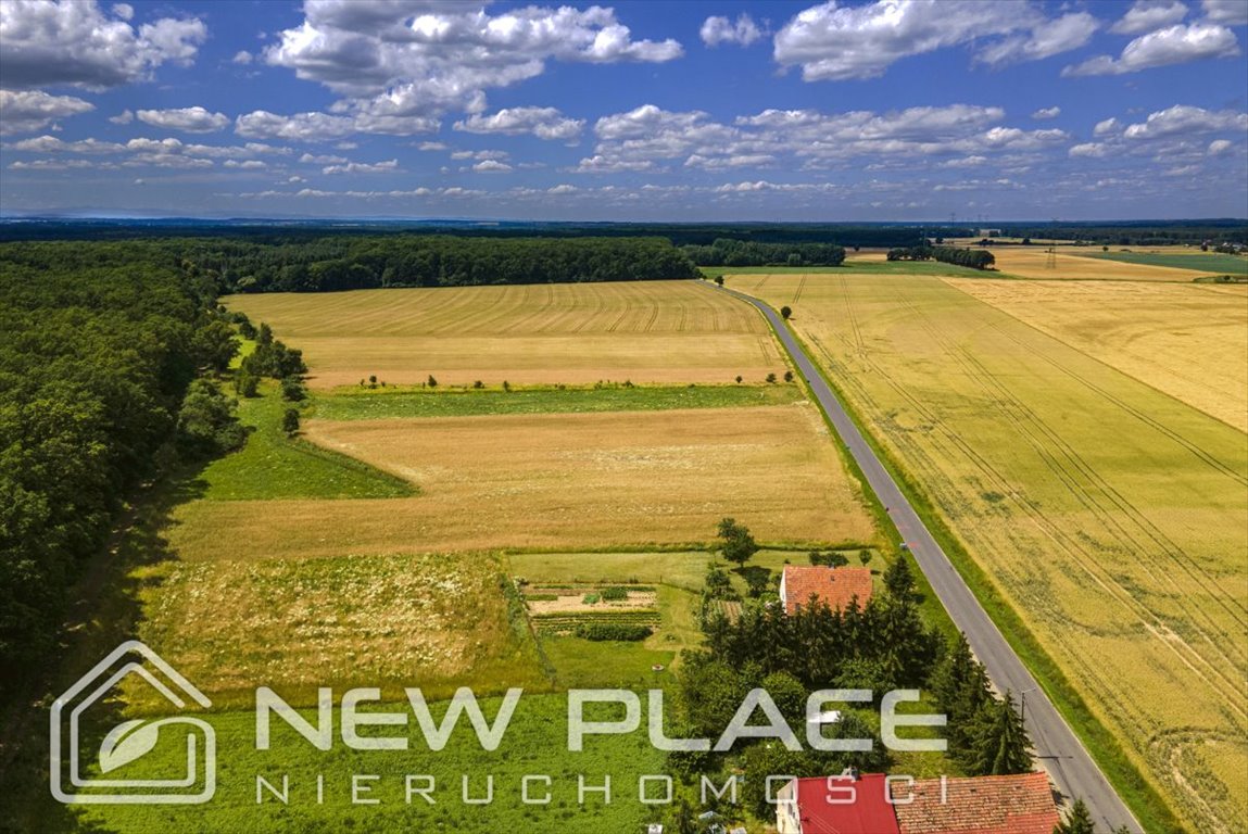 Działka budowlana na sprzedaż Kobylniki  1 005m2 Foto 8