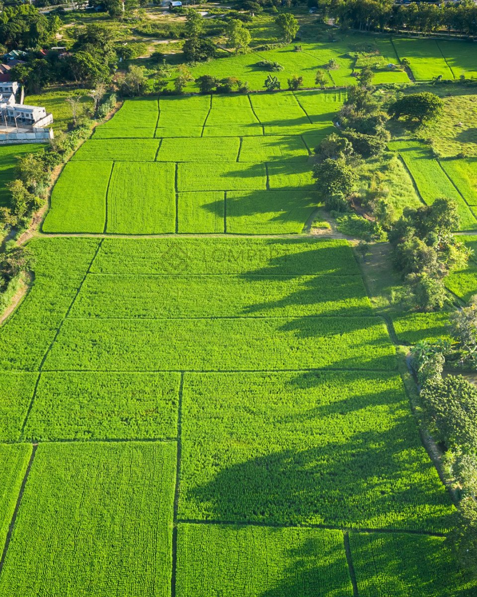 Unikatowa działka 1 ha pod rezydencję przy Lesie Kabackim Warszawa, Ursynów, Indycza  10 551m2 Foto 1