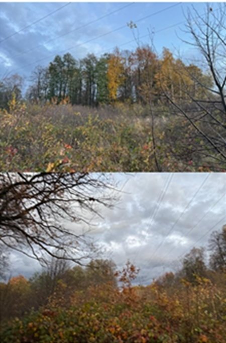 Działka na sprzedaż w Lusinie 5900 m² – okazja! Lusina, Zdrojowa  5 900m2 Foto 1