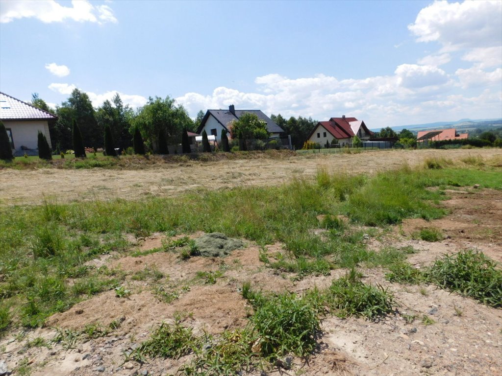 Działka budowlana na sprzedaż Boguszyn  2 000m2 Foto 8