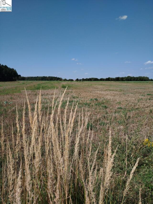 Działka budowlana na sprzedaż Zbrosławice  630m2 Foto 2