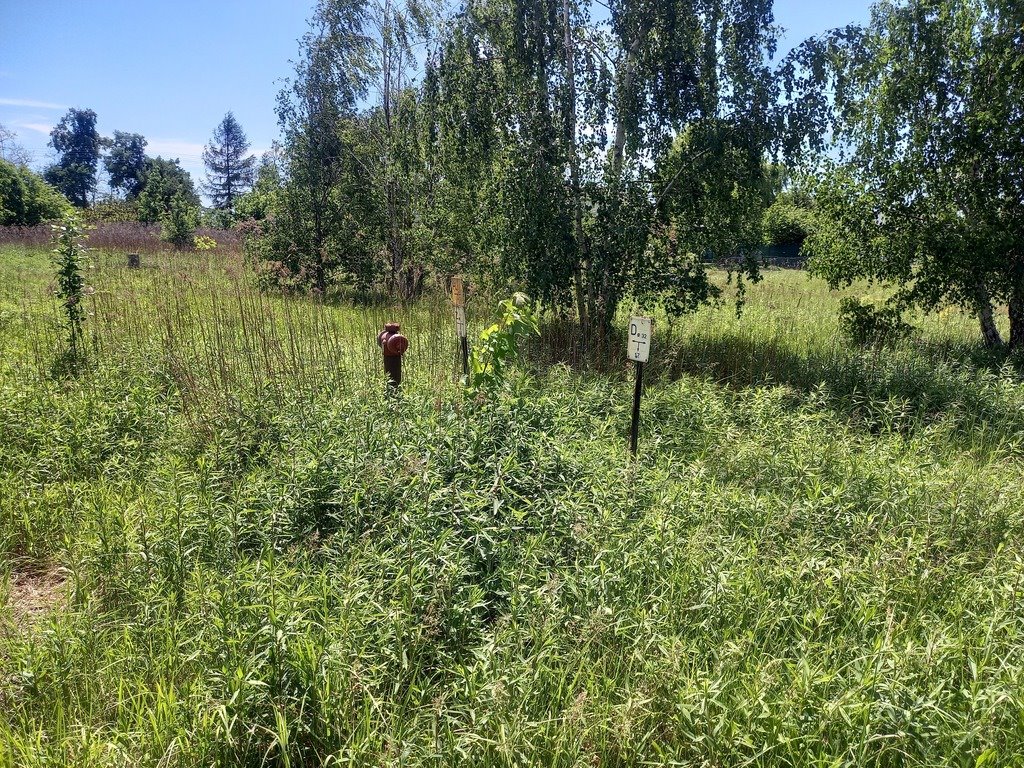 Działka budowlana na sprzedaż Byków  1 000m2 Foto 3