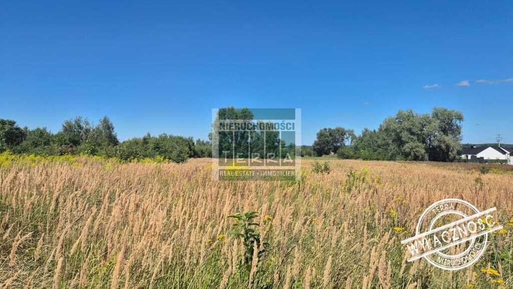 Działka budowlana na sprzedaż Brzezie K. Sulechowa  1 030m2 Foto 1