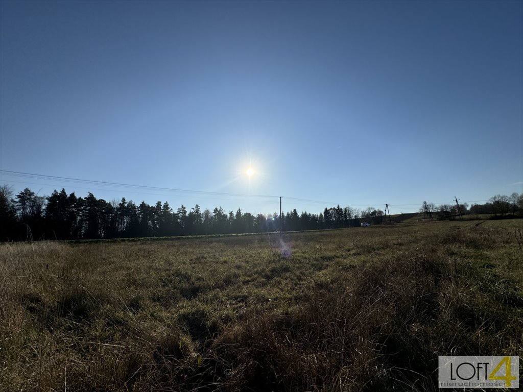 Działka budowlana na sprzedaż Polichty  3 000m2 Foto 7