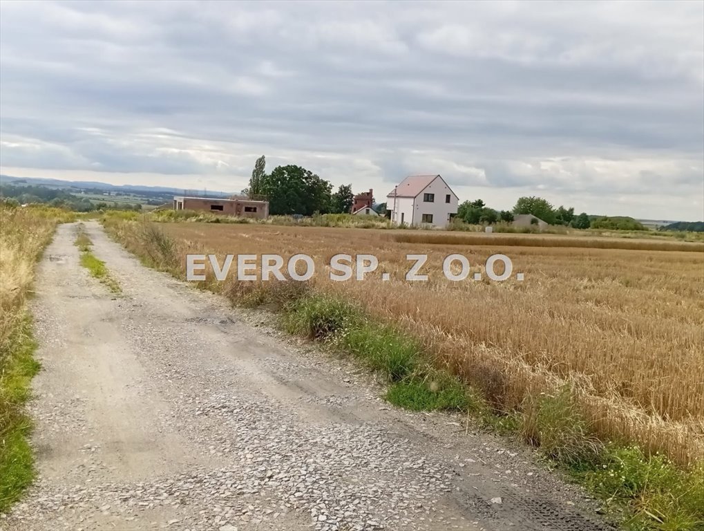 Malownicza działka 2100 m² z widokiem na Ślężę - prąd i woda Tąpadła, TĄPADŁA - DZIAŁKI BUDOWLANE - prąd i woda  2 100m2 Foto 1