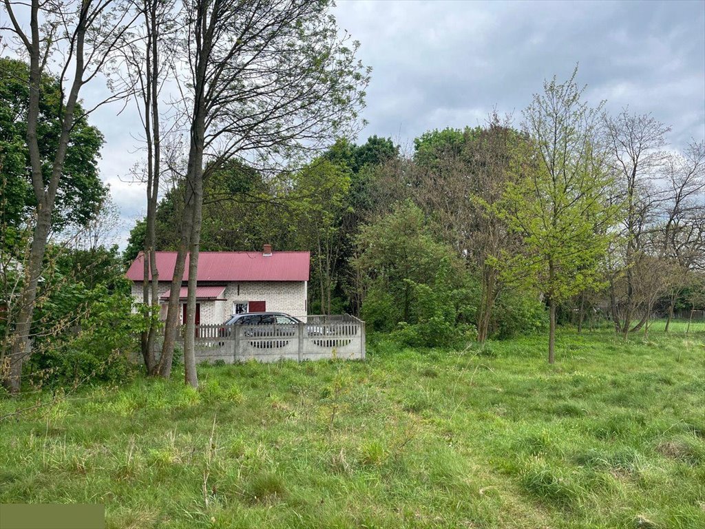 Działka rolna na sprzedaż Trzciniec  30 201m2 Foto 1