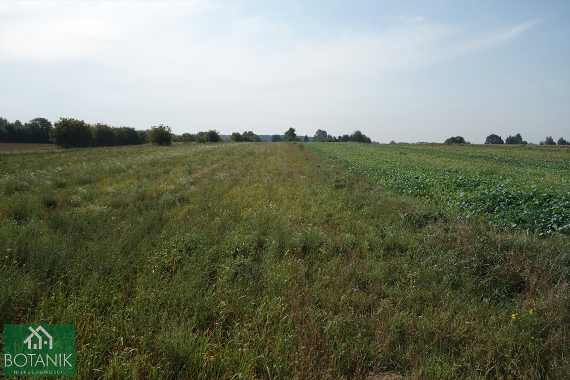 Działka inna na sprzedaż Natalin  10 400m2 Foto 3