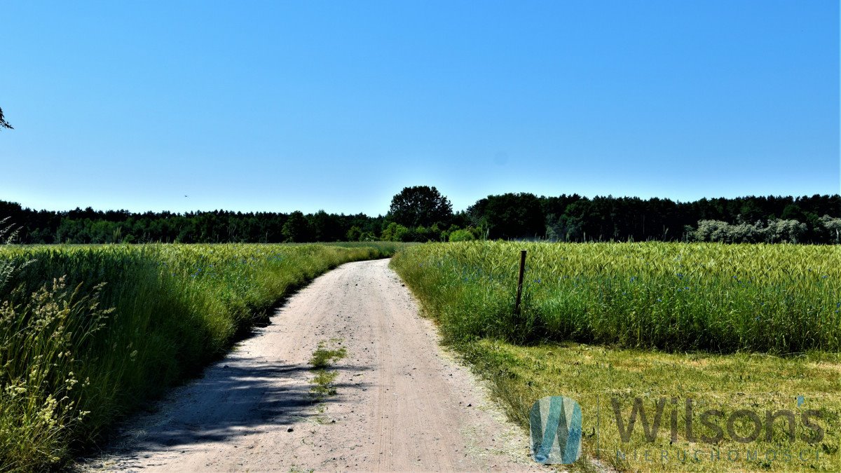 Duża działka 6112 m² z mediami, blisko lasu - polecam! Kuligów, Wojska Polskiego  6 112m2 Foto 1