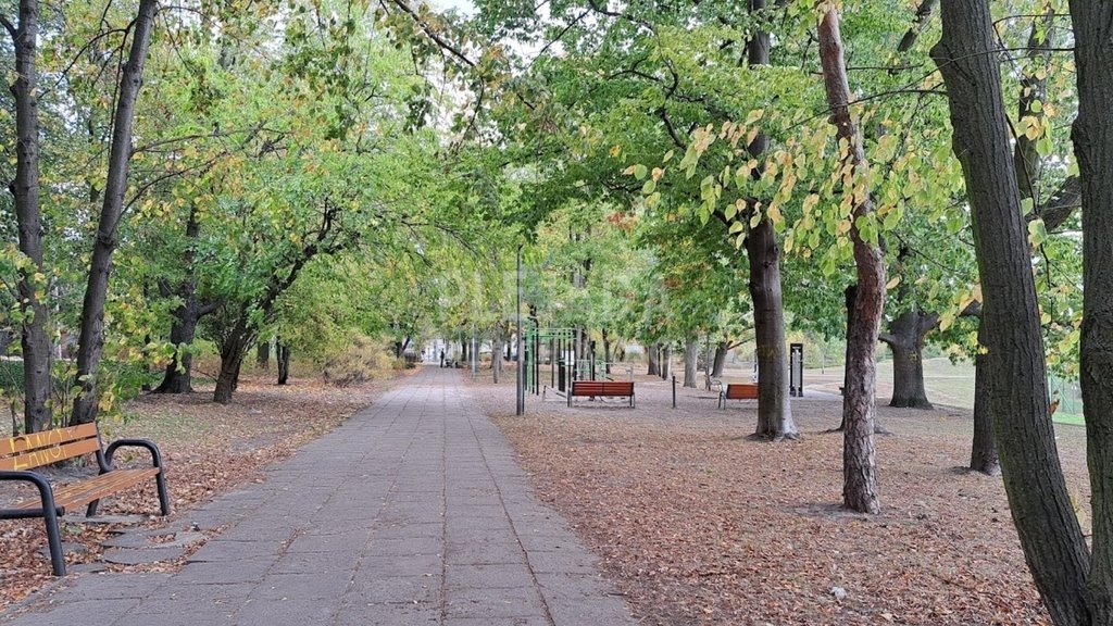 Lokal użytkowy na sprzedaż Piastów, Dworcowa  33m2 Foto 9