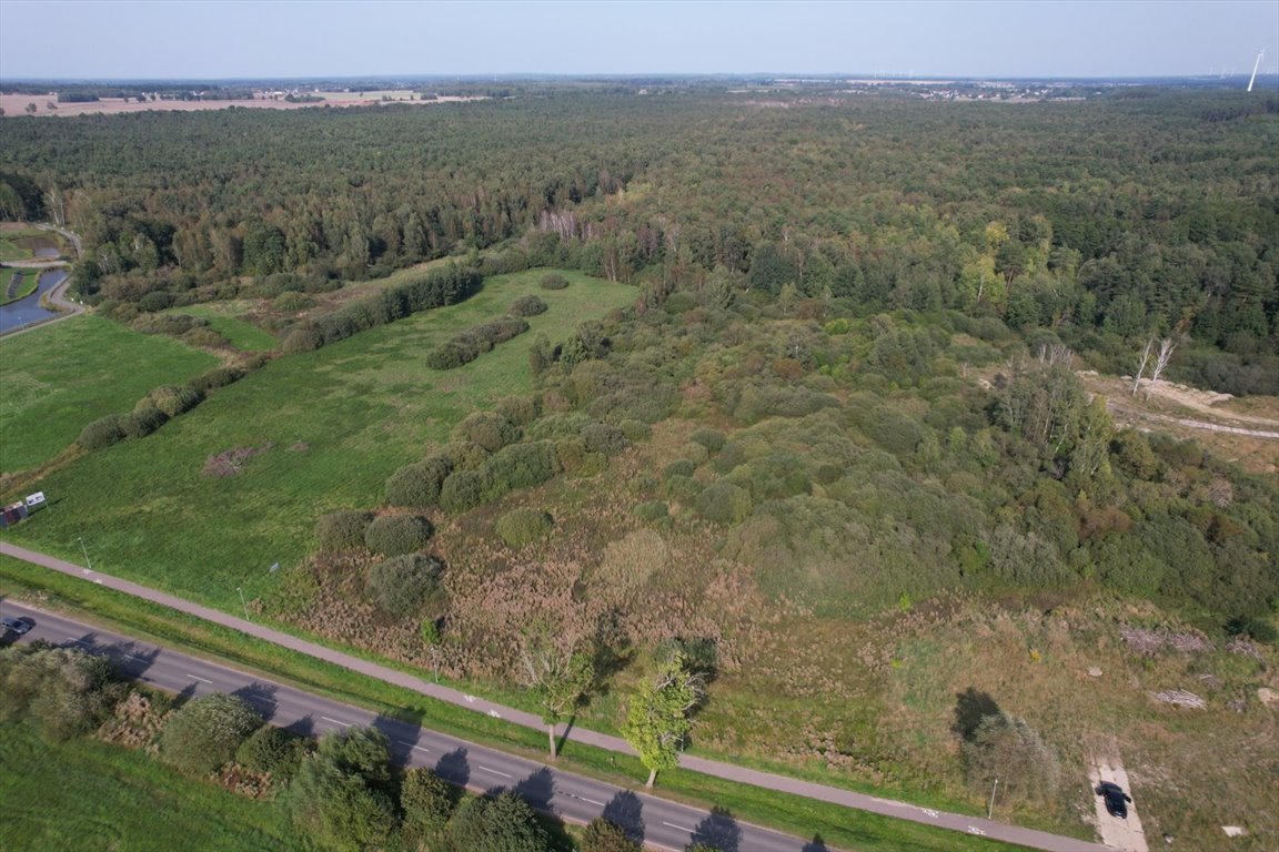 Działka rolna na sprzedaż Bruskowo Wielkie  5 000m2 Foto 4