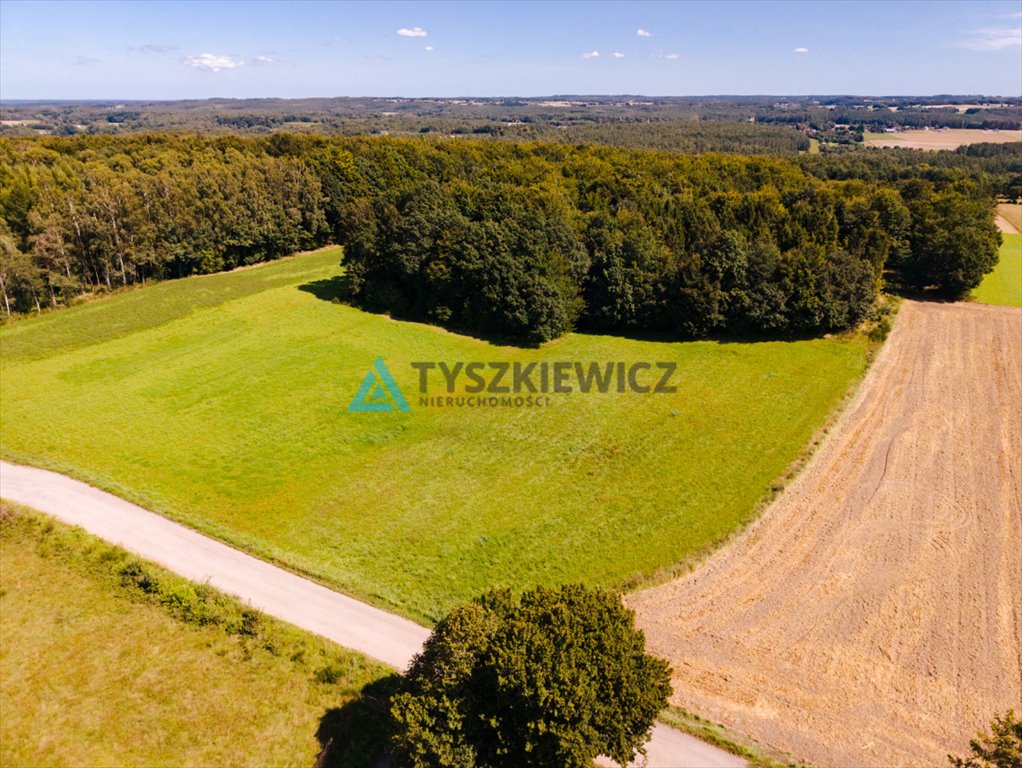 Zdjęcie 5