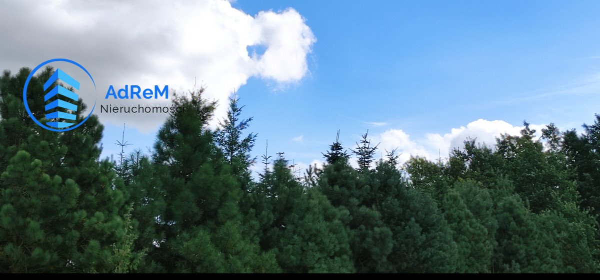 Działka budowlana na sprzedaż Łoś  4 700m2 Foto 3