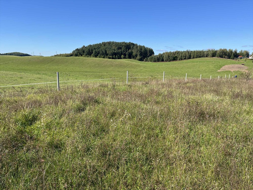 Działka 3 094 m² w Dudkach - cisza i jezioro zapraszam Dudki  3 094m2 Foto 1