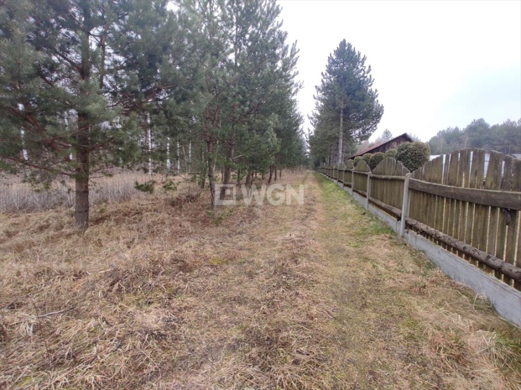 Działka budowlana na sprzedaż Prusicko, Rzędowie, Rzędowie  21 227m2 Foto 1