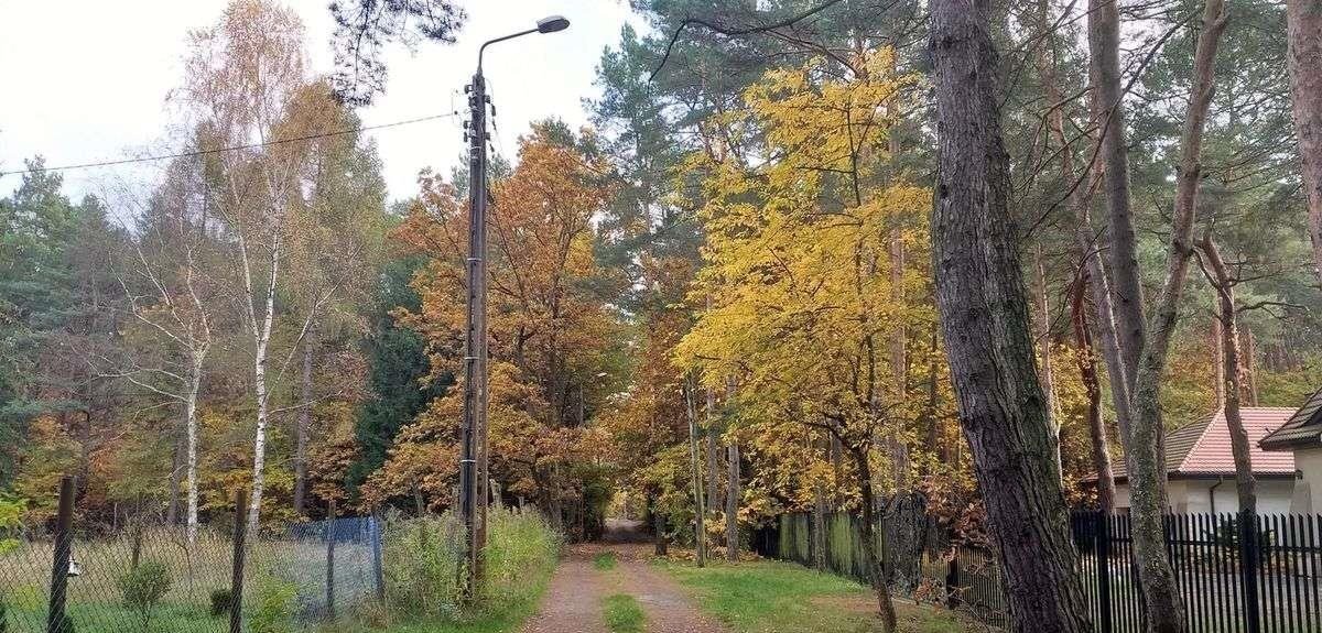 Działka leśna z prawem budowy na sprzedaż Warszawa, Wawer, ul. Kwitnącej Akacji / Izbicka  6 636m2 Foto 1