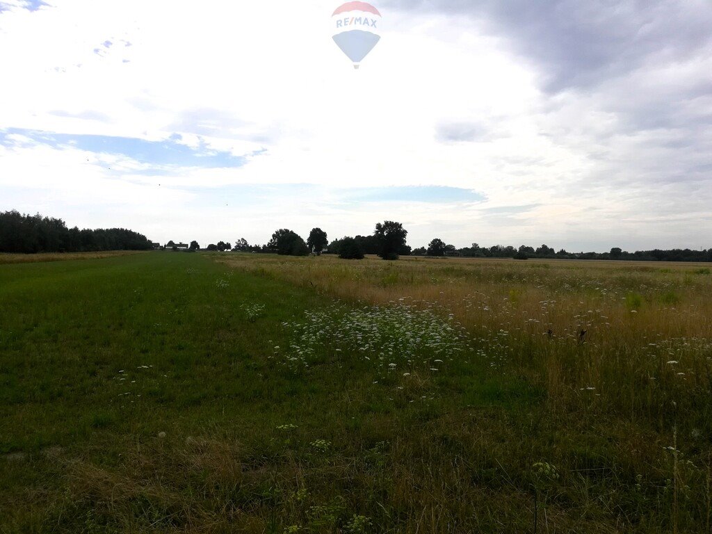 Działka siedliskowa na sprzedaż Ojrzanów-Towarzystwo  3 027m2 Foto 1