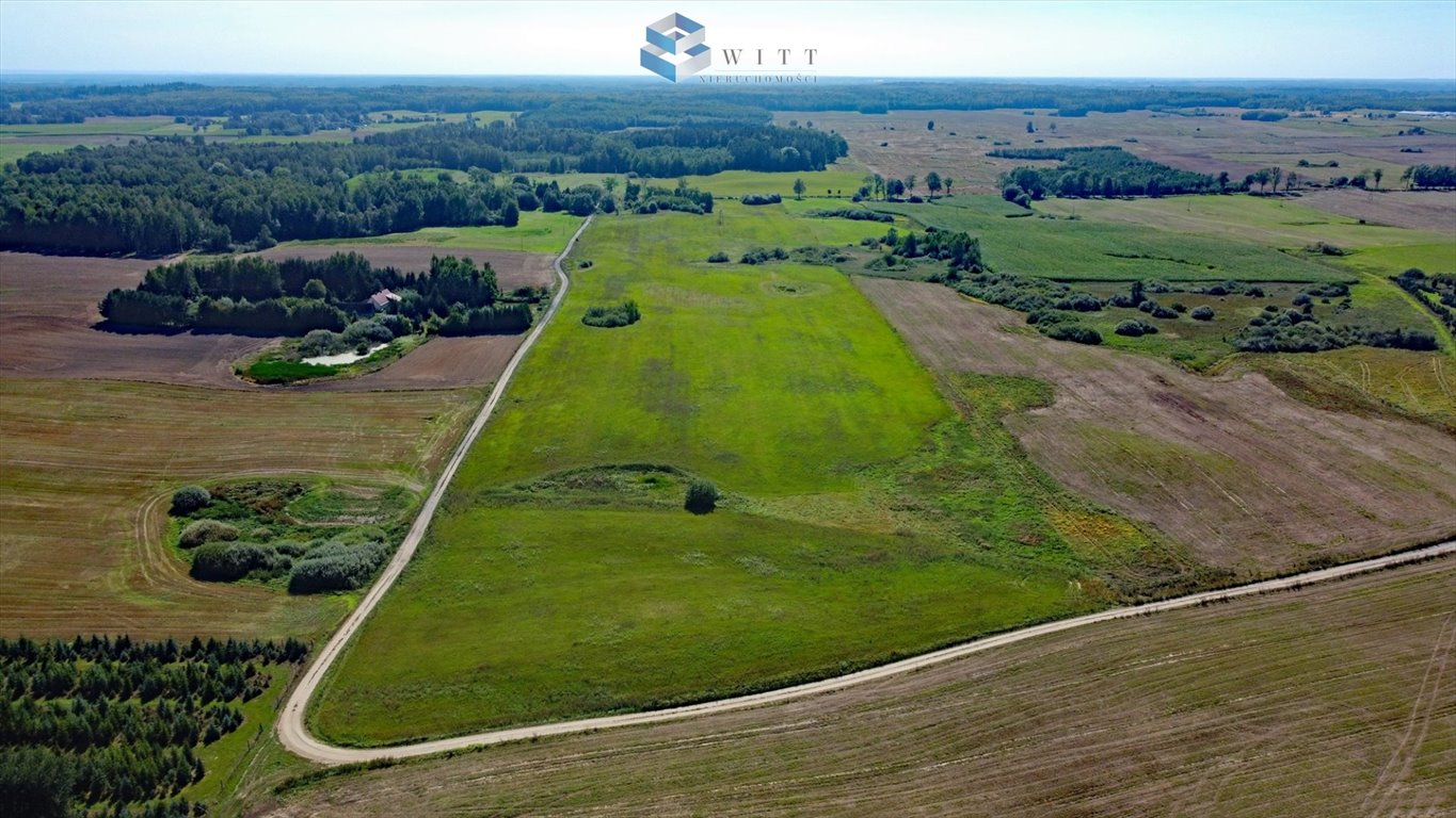 Działka rolna na sprzedaż Chojnik  102 500m2 Foto 4