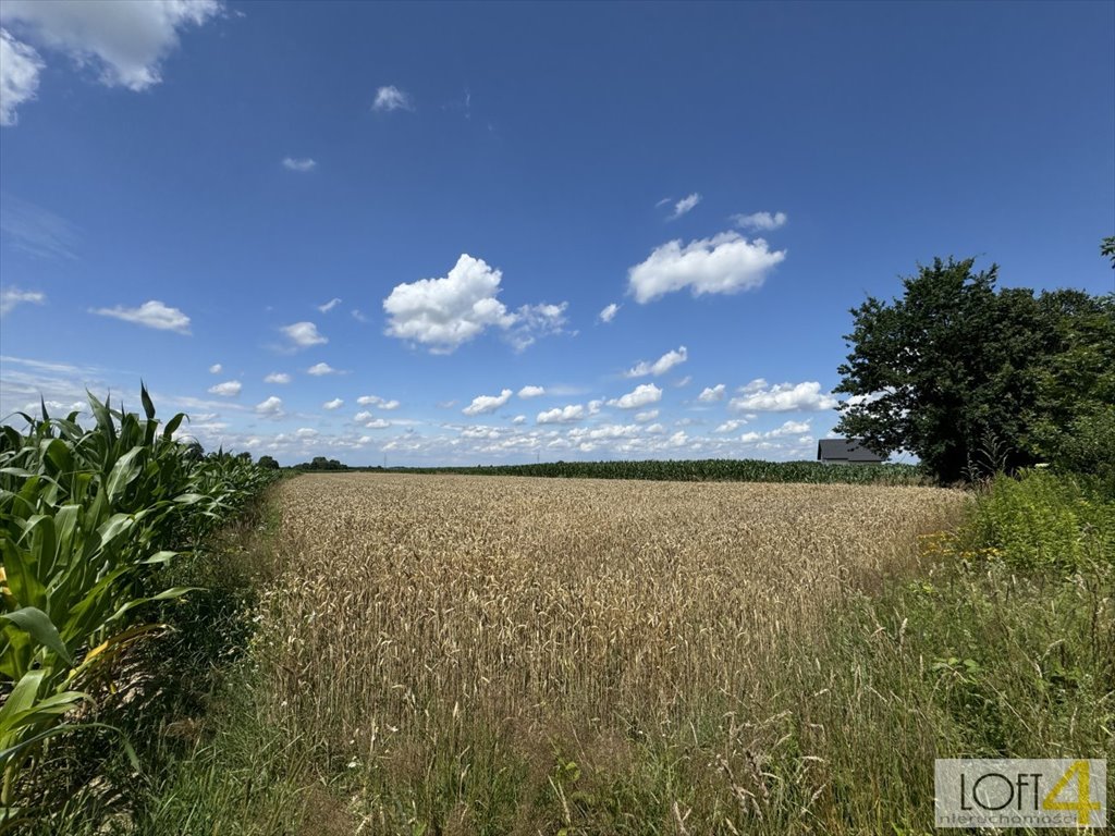 Działka budowlana na sprzedaż Borzęcin  4 400m2 Foto 8