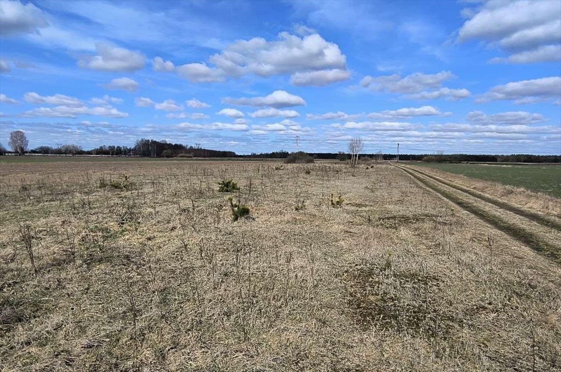 Działka rolna na sprzedaż Wola Pasikońska  3 197m2 Foto 1