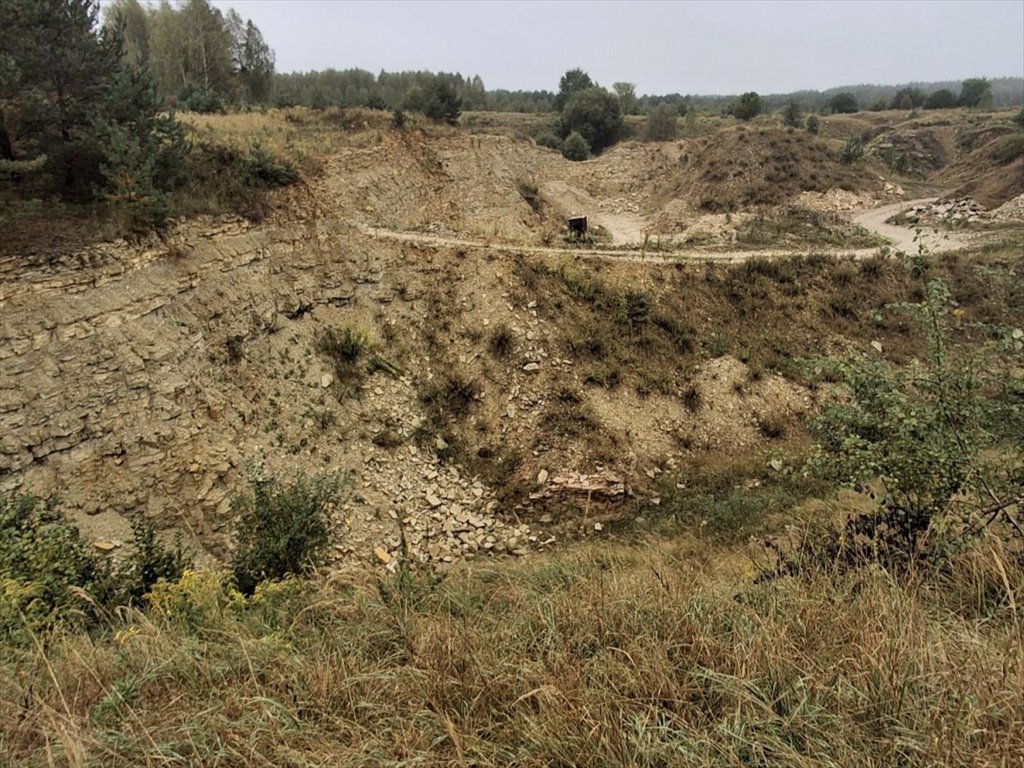 Działka inwestycyjna na sprzedaż Miasteczko Śląskie, Żyglin  4 027m2 Foto 12