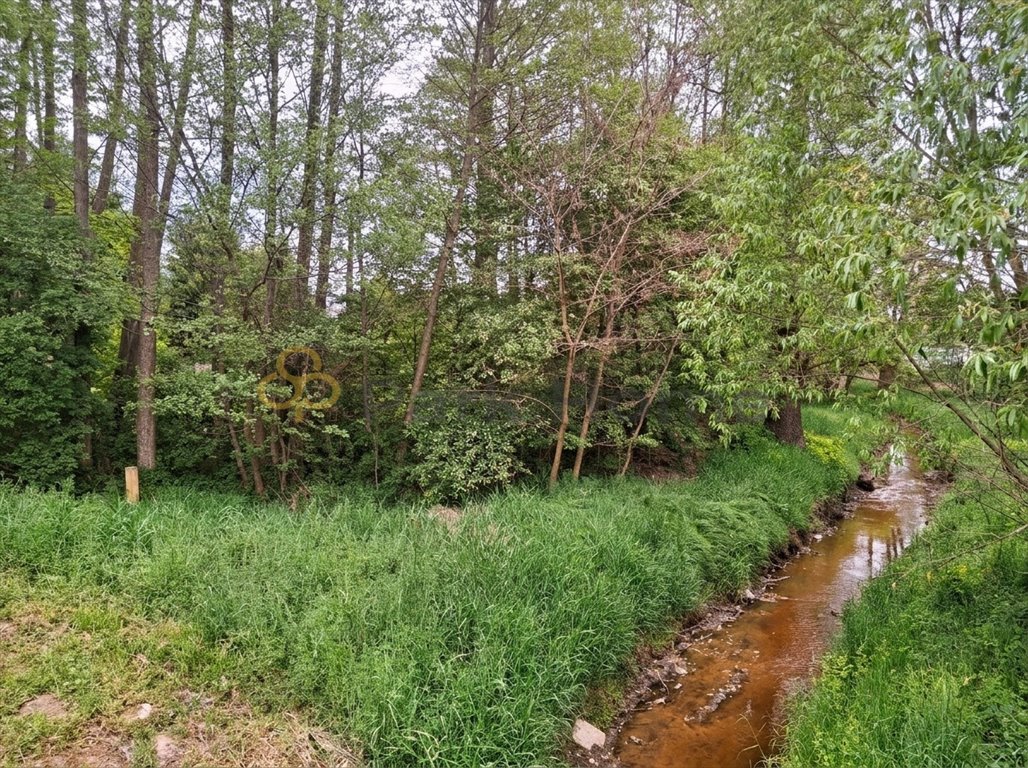 Działka rekreacyjna 11 476 m² w Gozdnicy – prywatność i natura Gozdnica  11 476m2 Foto 1