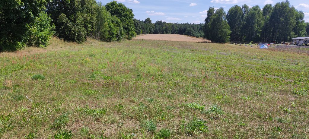 Działka budowlana na sprzedaż Breń  3 000m2 Foto 2