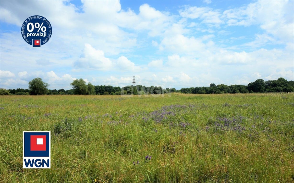 Działka rekreacyjna na sprzedaż Wrocław, Psie Pole, Kowale  9 900m2 Foto 2