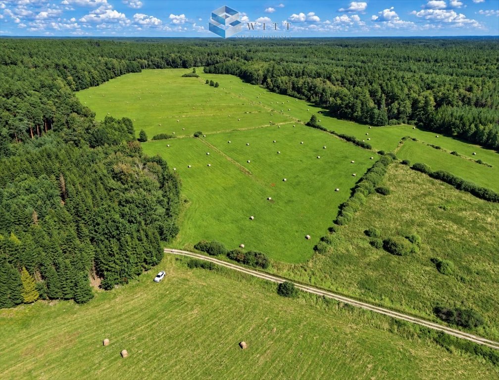 Polecam działki rolne 3,14 ha w Liwie za 94 200 zł Liwa  31 400m2 Foto 1