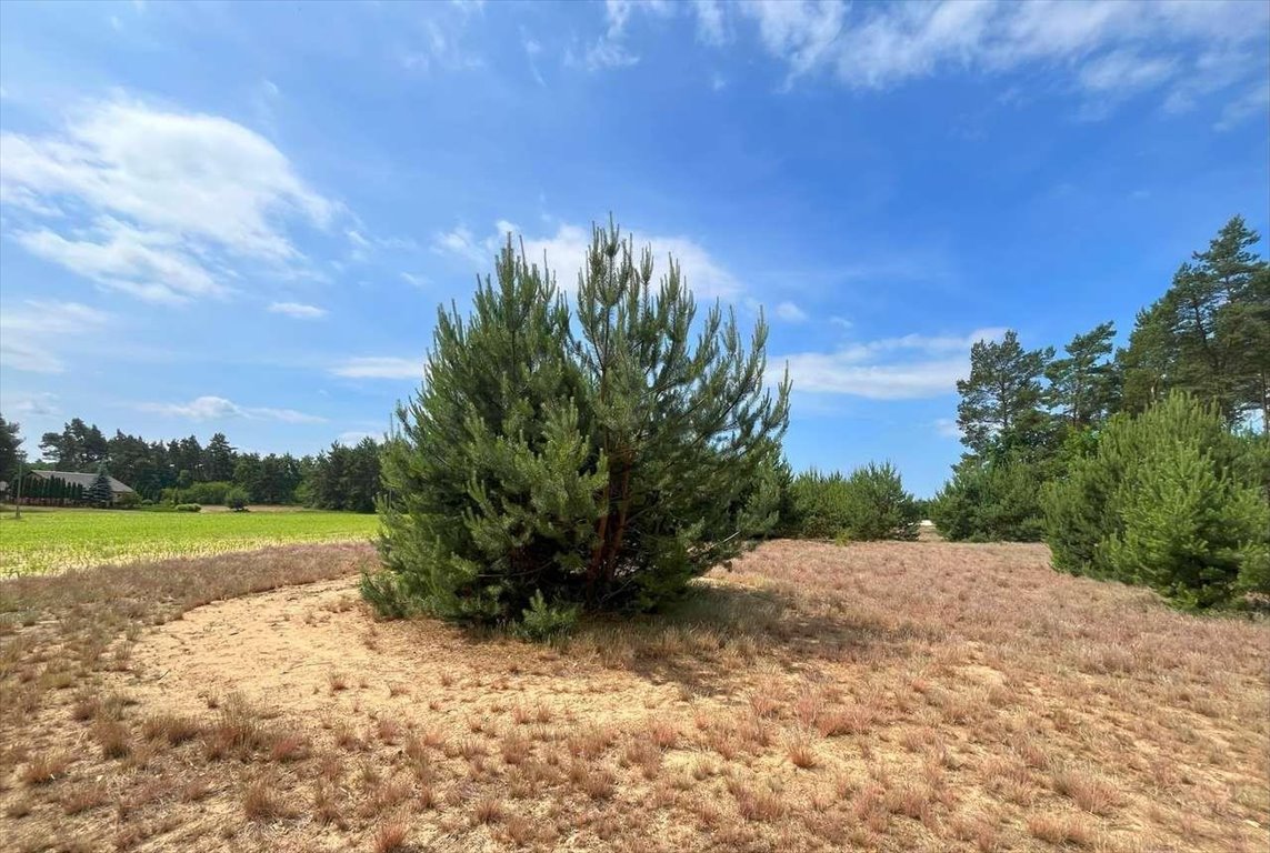 Działka budowlana 820 m² w Straszewie, płaska i z iglakami Straszewo  820m2 Foto 1