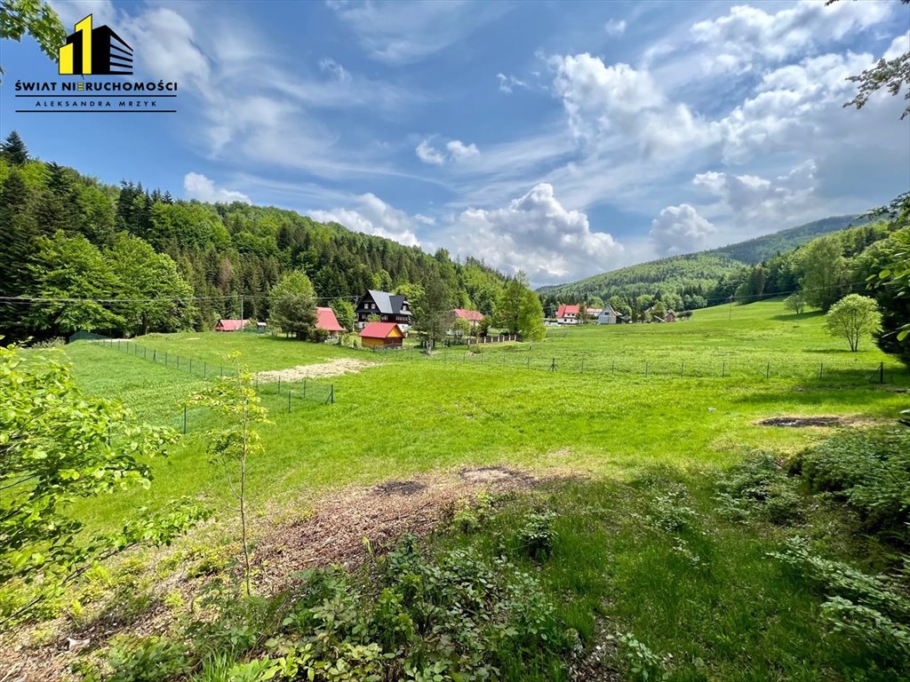 Działka inna na sprzedaż Przyborów  3 400m2 Foto 1