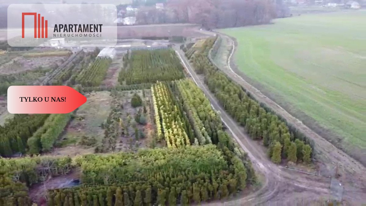 Działka gospodarstwo rolne na sprzedaż Kopaszyn  17 300m2 Foto 2