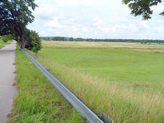 Działka budowlana na sprzedaż Dziubiele  24 200m2 Foto 13