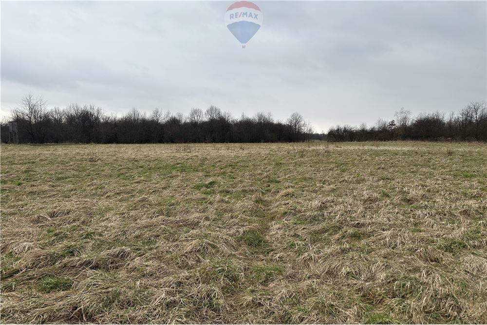 Działka rolna 187 m² blisko drogi 781 – możliwość dokupu Jankowice  187m2 Foto 1