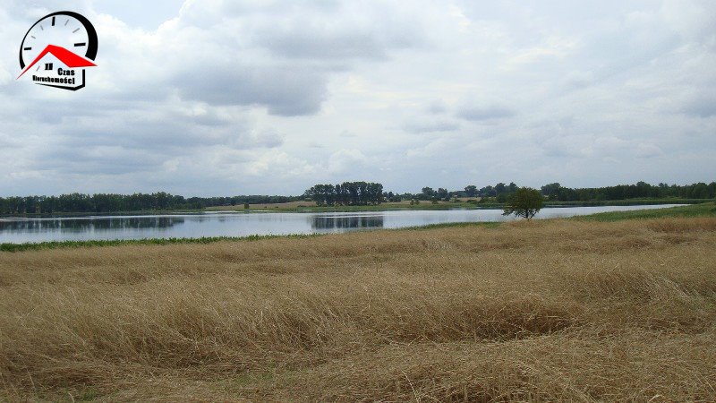 Działka gospodarstwo rolne na sprzedaż Radoszewice  3 000m2 Foto 10