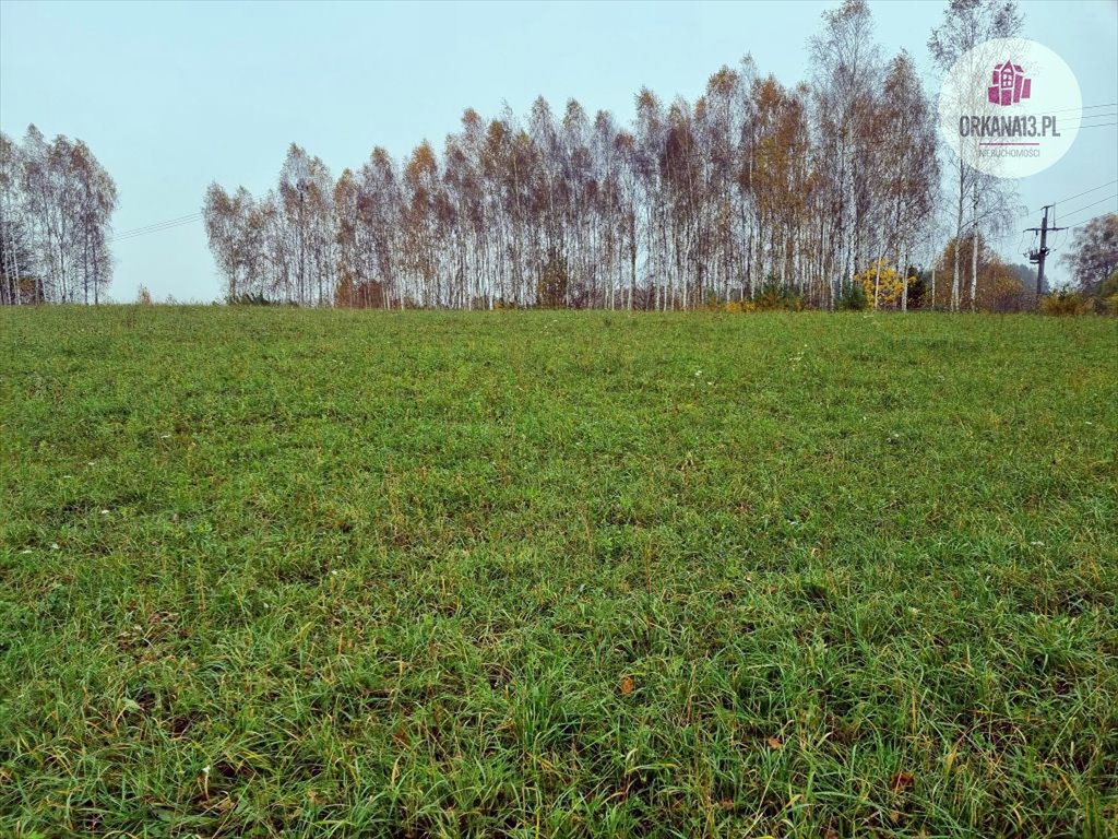 Działka rolna na sprzedaż Przykop, Przykop  27 623m2 Foto 5