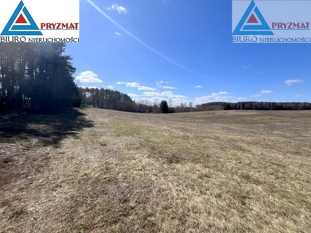 Działka rolna 3,92 ha z widokami i dostępem do jeziora Biesówko  39 200m2 Foto 1