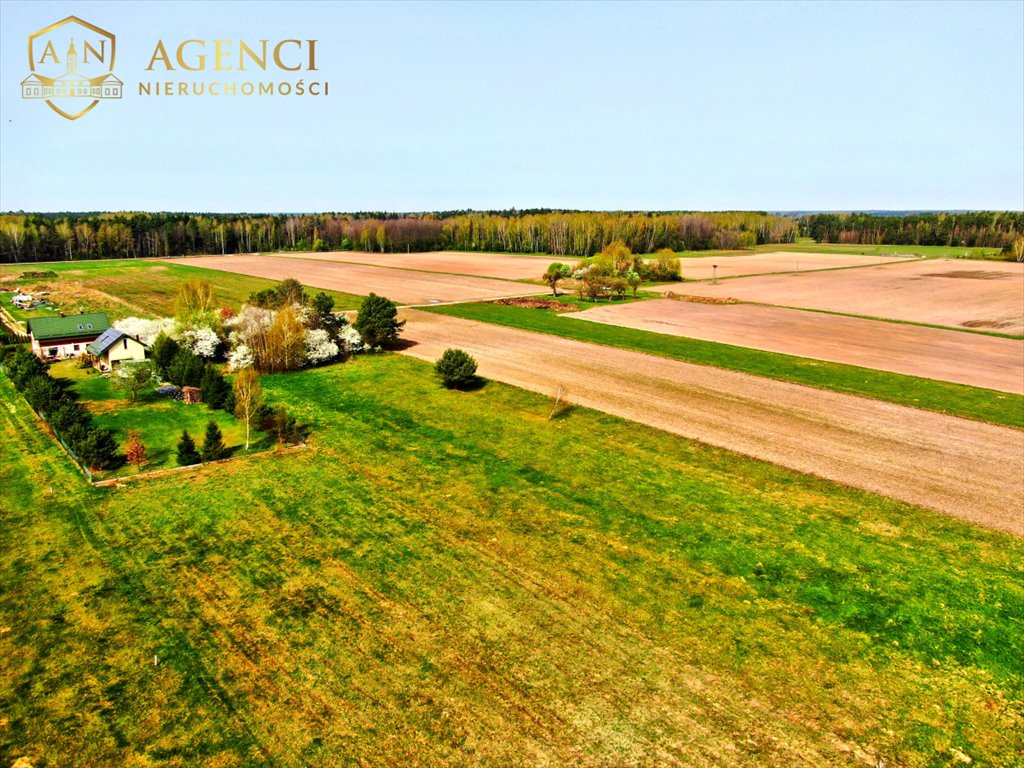 Działka budowlana na sprzedaż Skrybicze  9 200m2 Foto 1