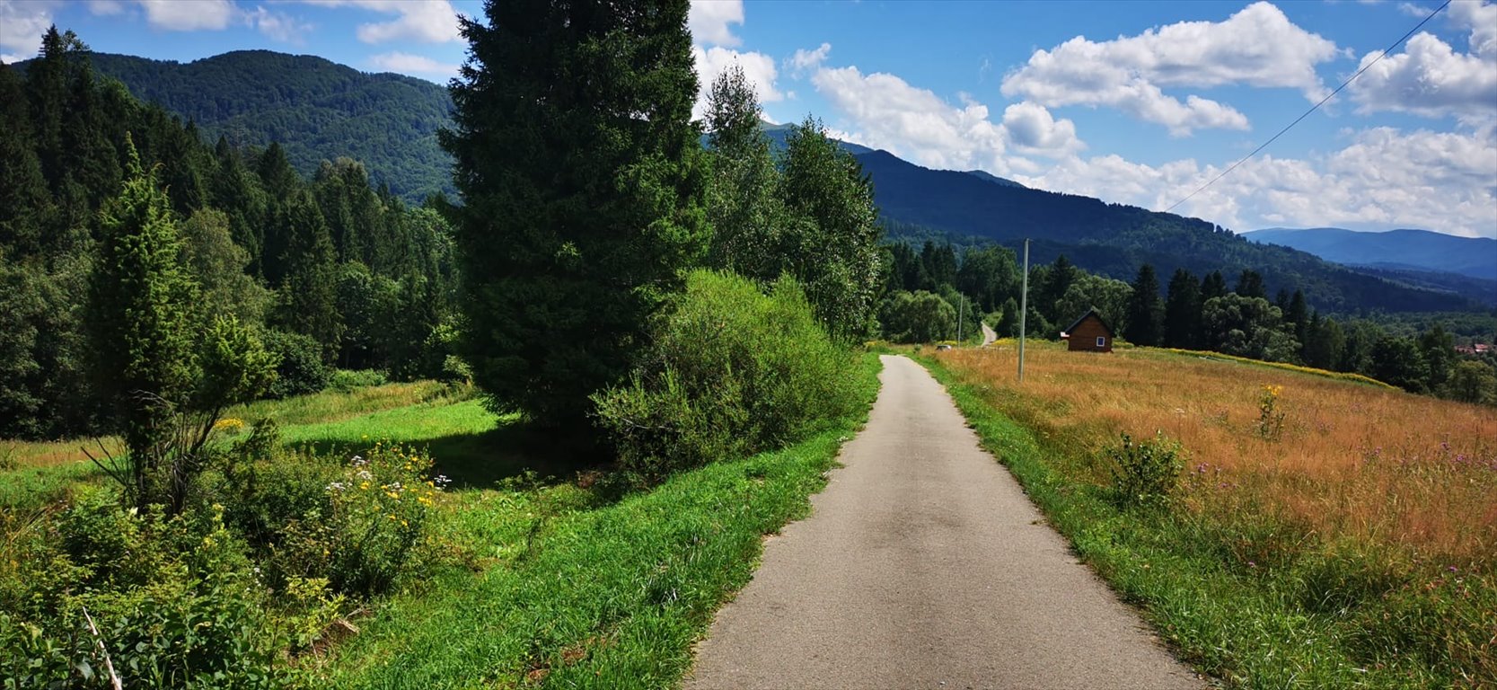 Działka budowlana na sprzedaż Kalnica  5 000m2 Foto 4